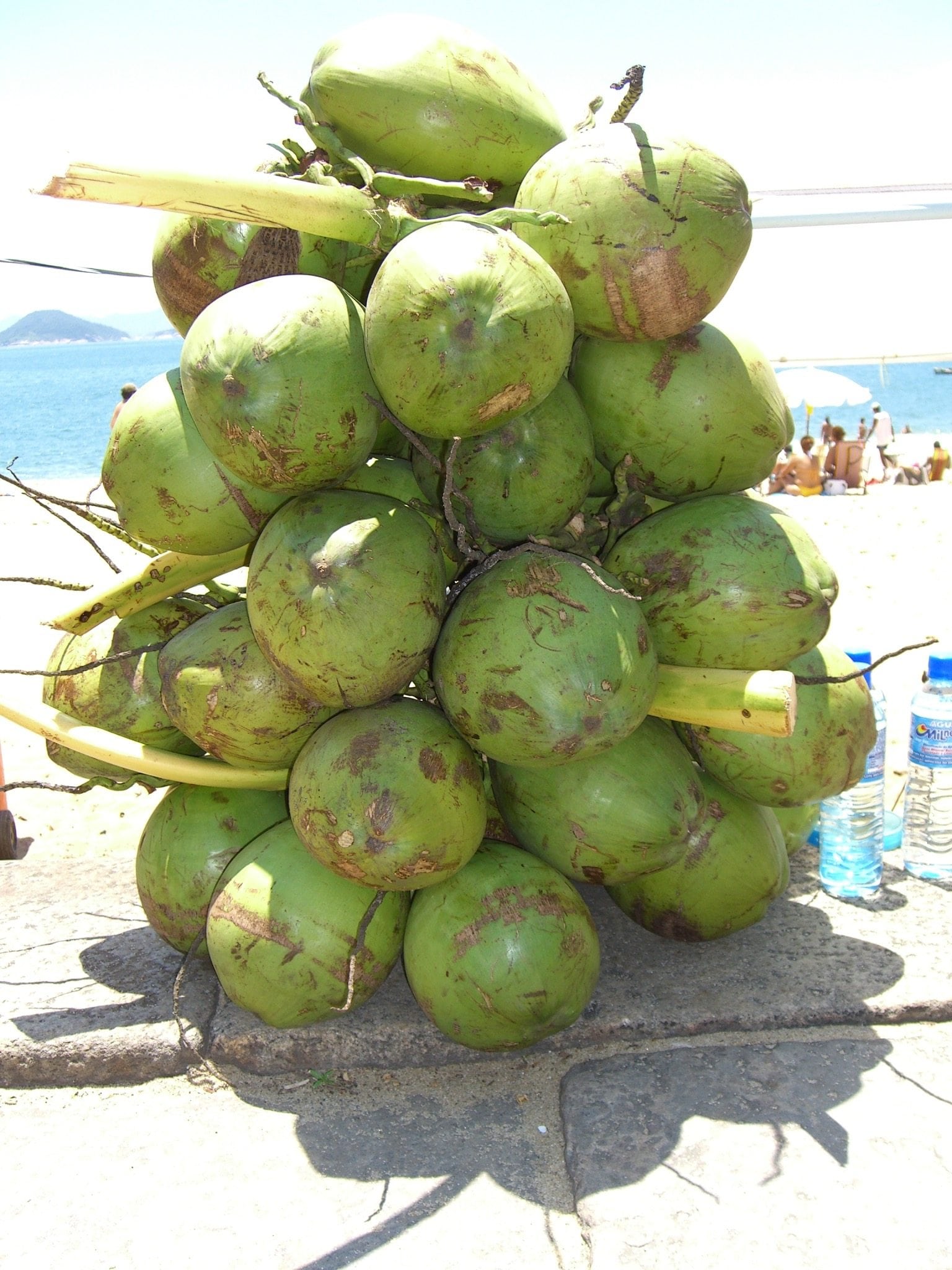 Raw coconuts on the beach