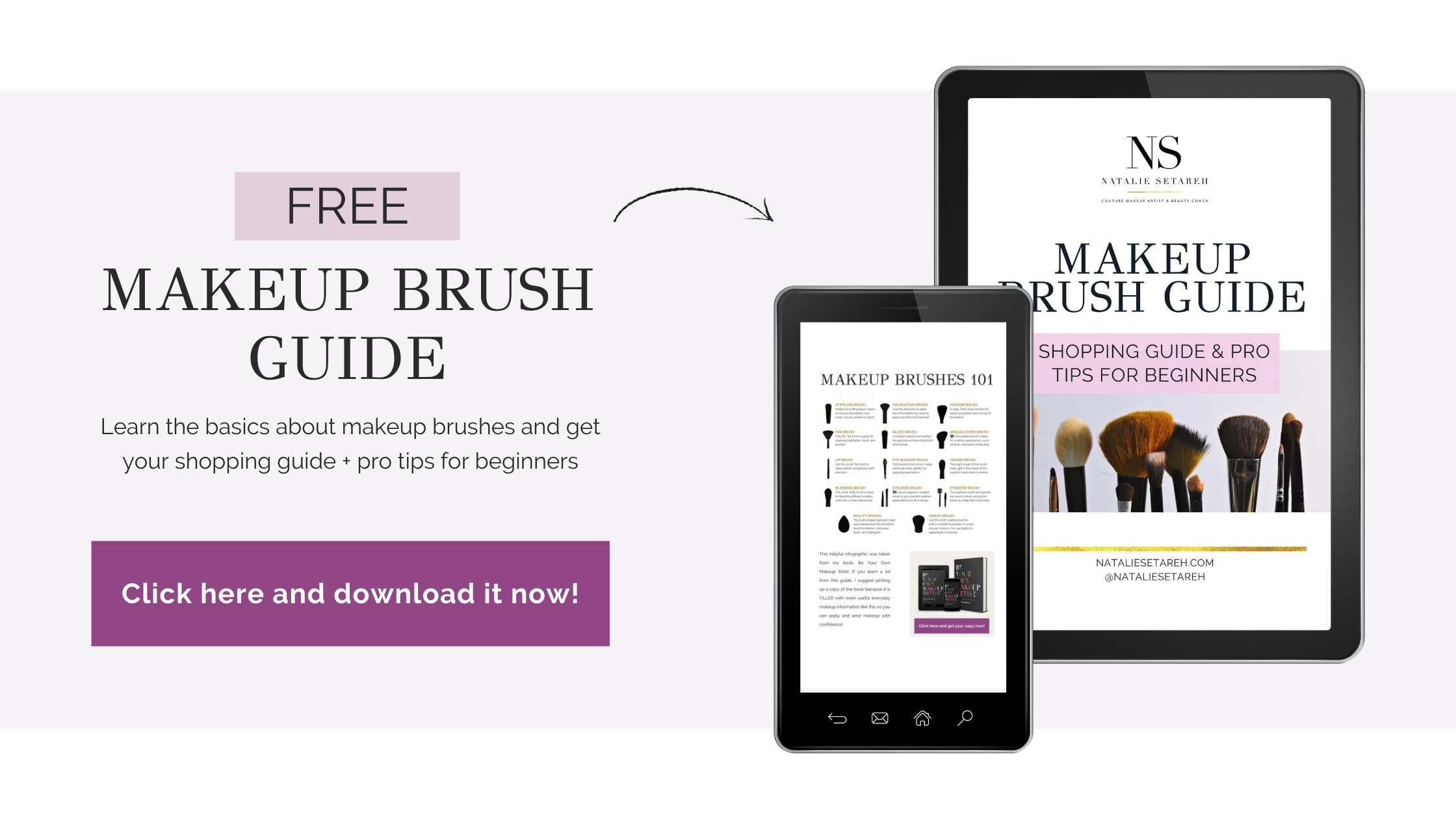 makeup brush guide free natalie setareh