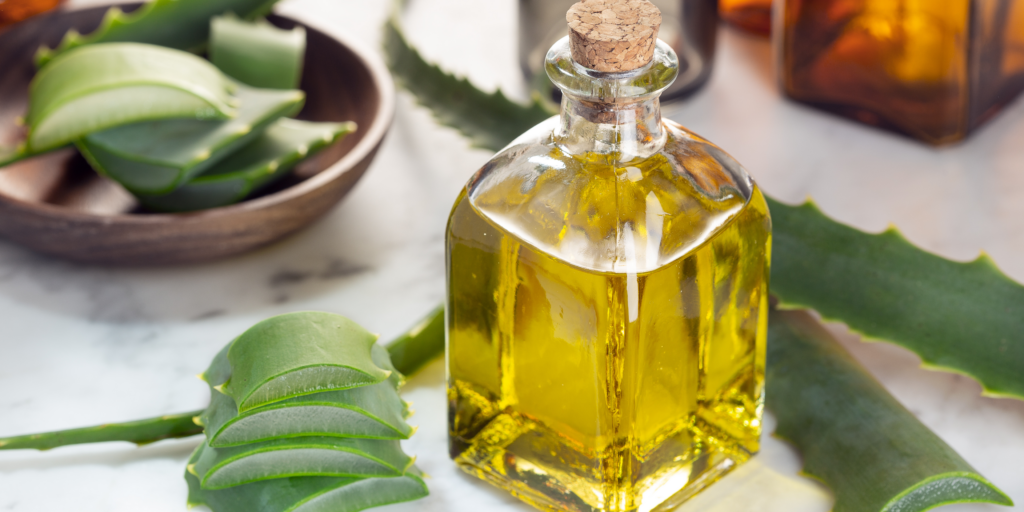 Image of aloe vera and jojoba oil